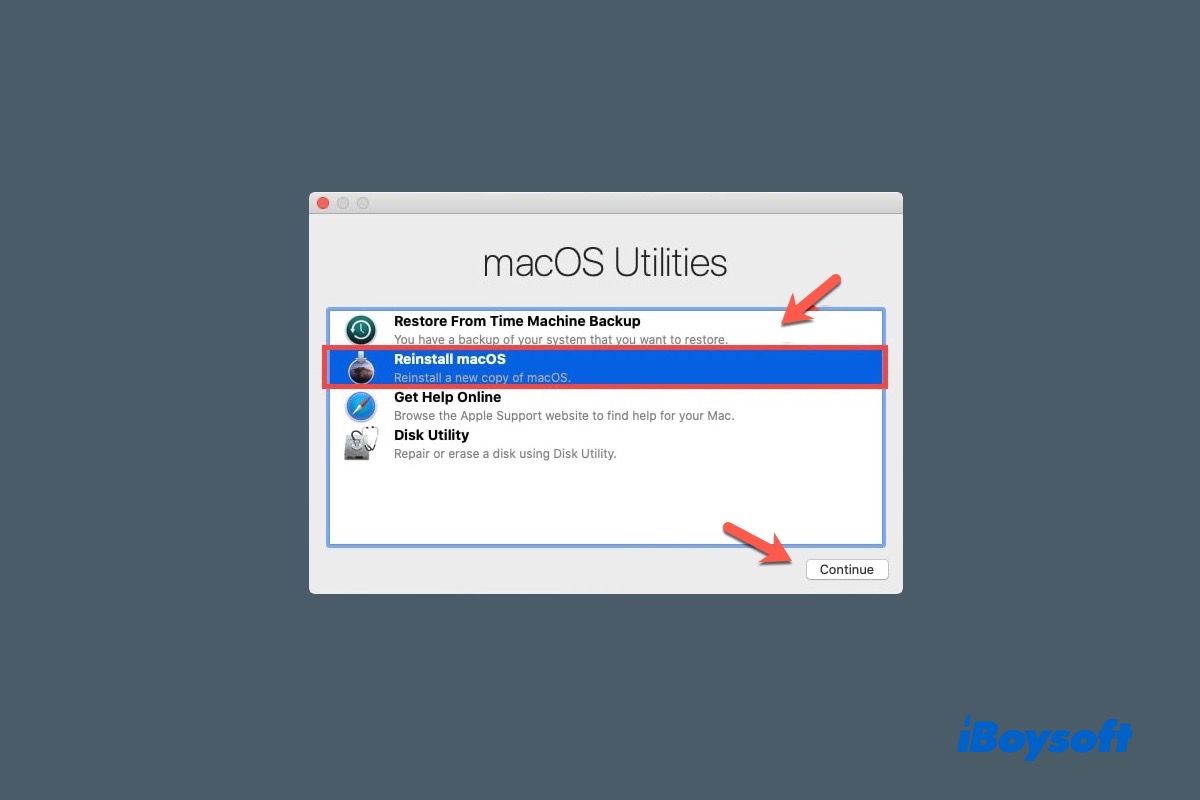 Follow the on-screen instructions to reinstall macOS.
After the reinstallation is complete, restore your files from the backup and check if the blue screen issue is resolved.