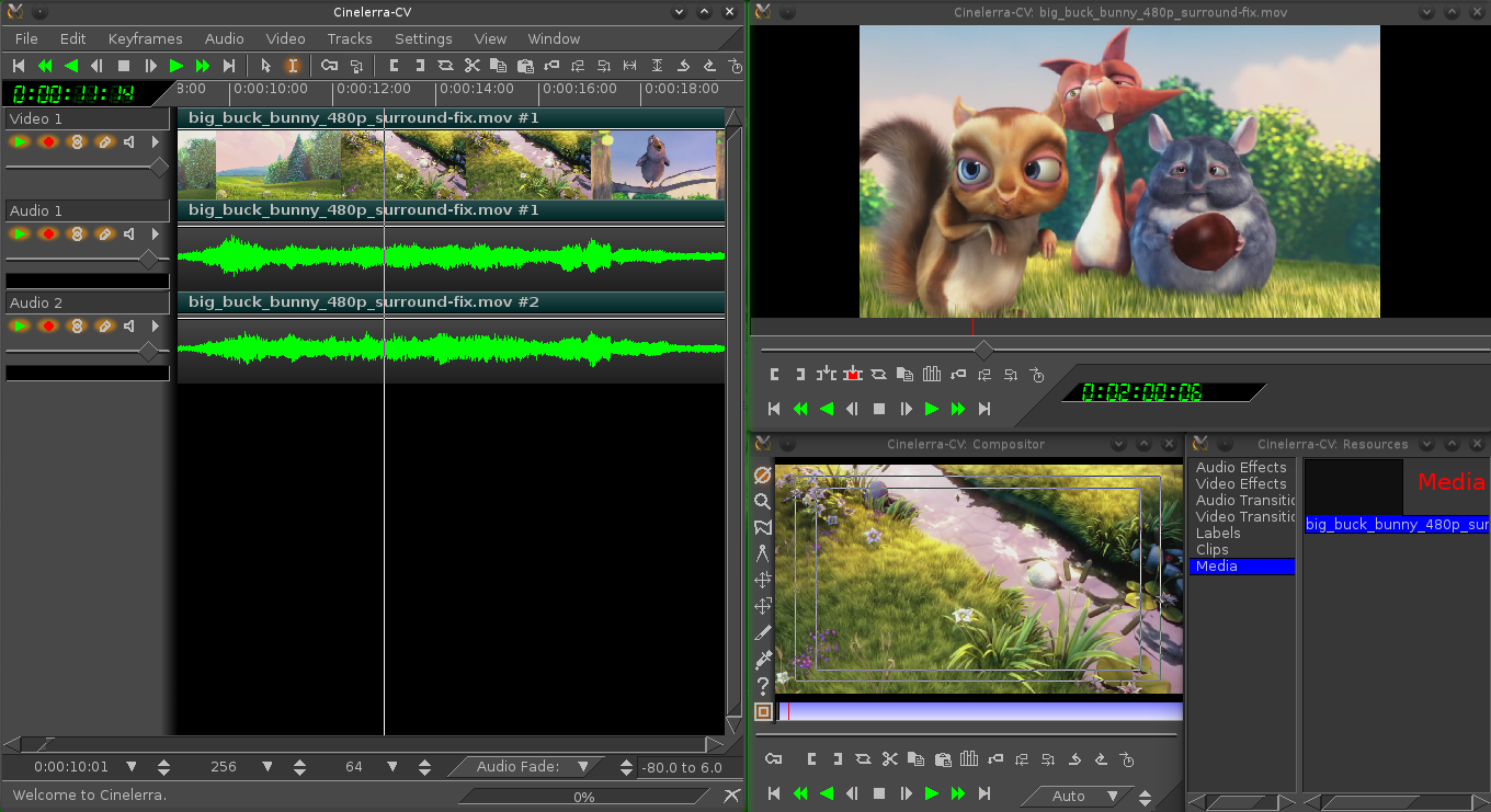 Video editing software interface